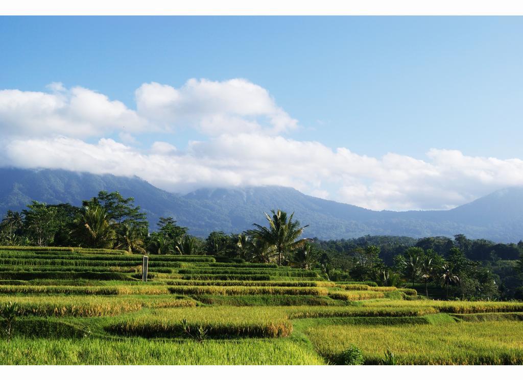 Hotel Ti Amo Bali Jatiluwih Zimmer foto