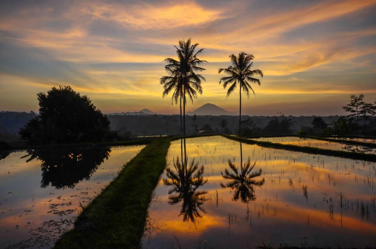 Hotel Ti Amo Bali Jatiluwih Exterior foto